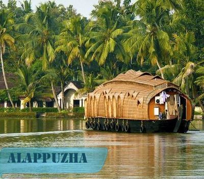 Social Media Marketing Agency @ Alappuzha