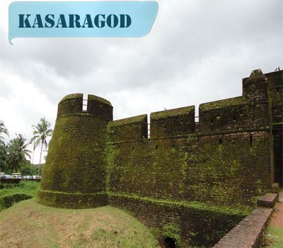 Google Adwords (ppc) Training Centre  @ Kasaragod
