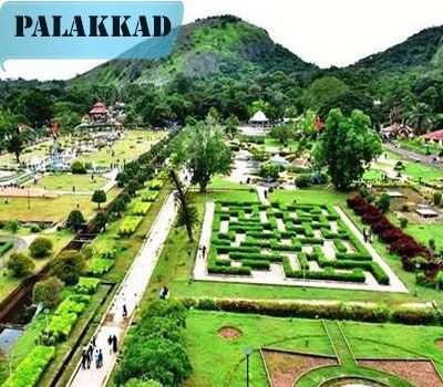 Seo Services Agency @ Palakkad